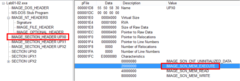 PEview showing executable section